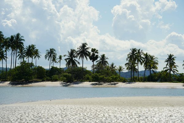 Embark on a delightful adventure in traditional british baking: sign up for an enchanting workshop in england's scenic countryside!