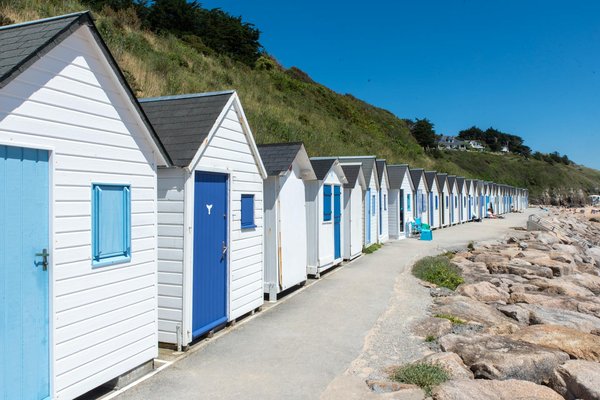 Explore wildlife photography: a complete guide to stunning shots in the uk's national parks
